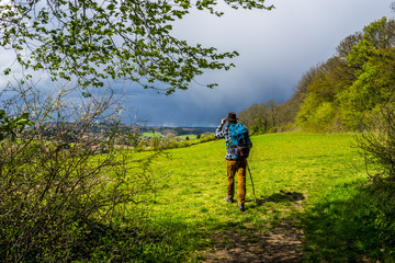 Fototapeta na wymiar Betreten einer sonnigen Lichtung im Teutoburger Wald
