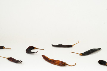 Dried chili on isolated white background in  differentiation concept idea