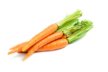 fresh carrots with stems isolated