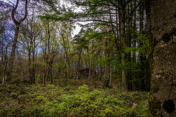 Holzhütte im Teutoburger Wald