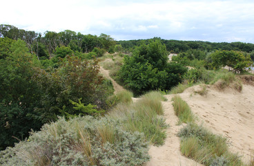 National park Kennemerland dunes
