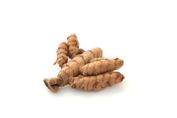 Curcuma