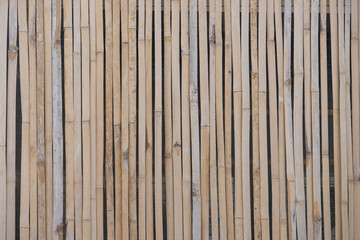 Bamboo wall background.