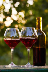 Two glasses of red wine and bottle in the vineyard