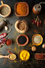 Obraz na płótnie Canvas Spices, herbs and condiments on a table in a spoon