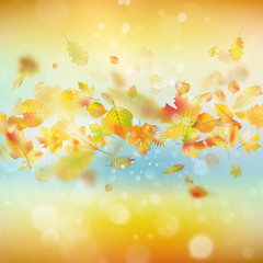 Naklejka na ściany i meble Autumn festive background. EPS 10 vector
