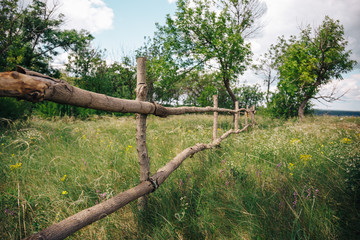 Fototapeta premium Rural landscape. Green field, wooden fence