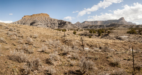 Southern Colorado Landscape