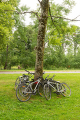 Fototapeta premium Landascapes of Ireland. Killarney national park