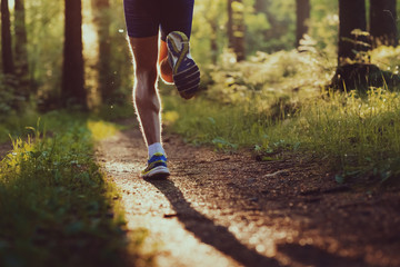 Trailrunning im Wald des Erzgebirges, Deutschland