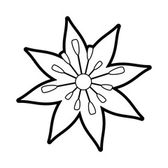 single paint flower icon image