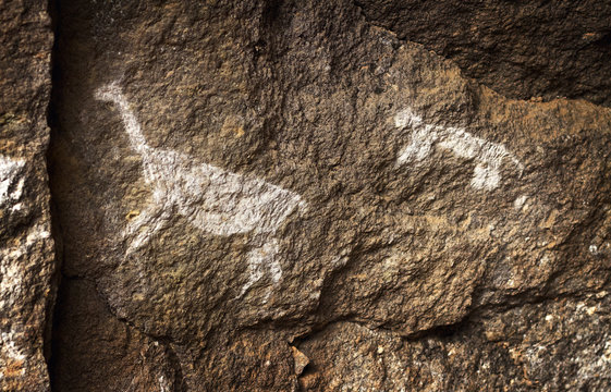 The puma chases the lama, rupestrian rock art in Sumbay Cave from paleolithic era (6000-8000 BC),  Arequipa departement, Southern Peru