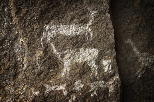 A group of llamas, rupestrian rock art in Sumbay Cave from paleolithic era (6000-8000 BC), Arequipa departement, Southern Peru