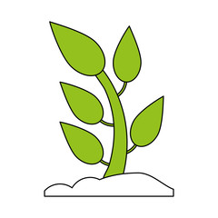 plant in soil icon image