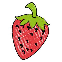 strawberry fresh fruit icon vector illustration design