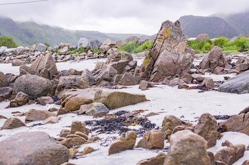 Fototapeta na wymiar Sable et rochers de bord de mer