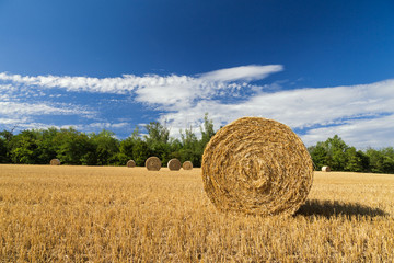 Strohballen Panorama.