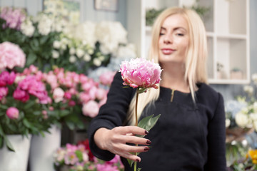 Fototapeta premium Blonde florist presenting fresh pink peony flower in a retail flower shop with blurred floral background, the flower is in sharp focus, its delicate petals and vibrant color