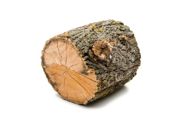 Wood log isolated