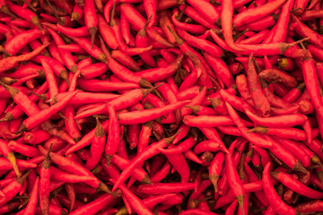 Fototapeta premium Chilis