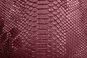 background of crocodile skin