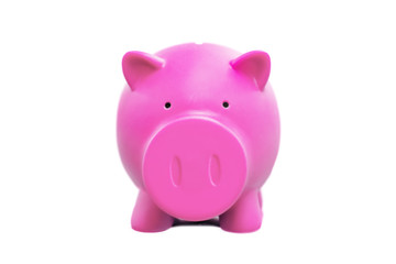 isolated pink piggy bank