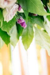 Close up view of flowers on wedding arch
