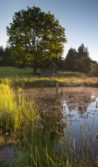 Golden Hour & Lake Fog