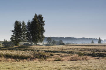 Fototapeta na wymiar Blue fog and field