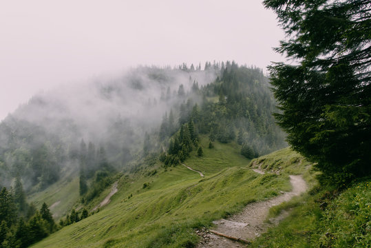 Nebelschwaden in den W&auml;ldern der Voralpen am Walchensee, Deutschland
