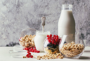 Granola breakfast with milk