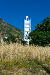 grain field with minaret