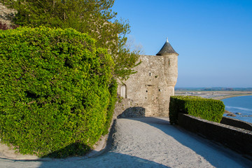 Fototapeta na wymiar Mont Saint Michel view