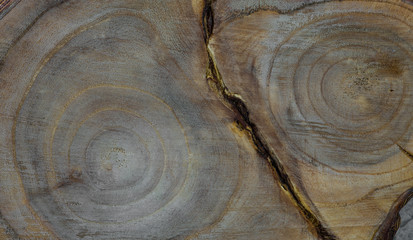 Rings of sawn wood