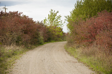 Field road