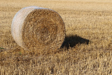 bale of hay