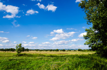 Fototapeta na wymiar Beautiful Czech rural meadow