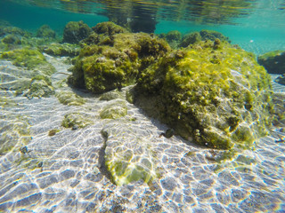 Sand and rocks seen underwater