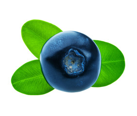 Fresh blueberries with green leaves