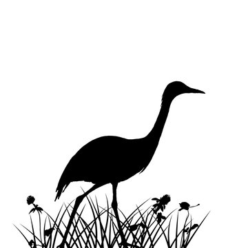 recommend clip art: heron in grass silhouette