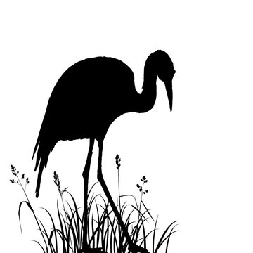 recommend clip art: heron in grass silhouette