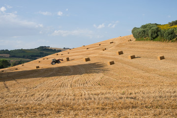 Summer rural landscape with a field and hay