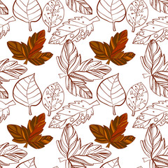 illustration of Autumn graphic with color stylize seamless pattern. Doodle design for backdrop. Drawing leaves, foliage of maple nature.