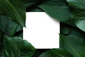 Creative layout made of tropical leaves with blank paper card. Flat lay. mock up