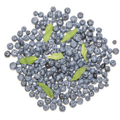 Blueberries and mint leaves  isolated on white background, top view