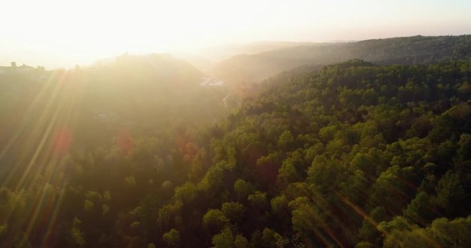 moving forward over forest in sunset or sunrise summer day with sun flare.Europe Italy outdoor green nature scape wild aerial establisher.4k drone flight above woods establishing shot