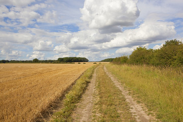 farm track and straw stubble