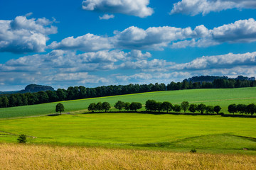 Fototapeta premium View from Rauenstein mountain in Saxon Switzerland, Germany