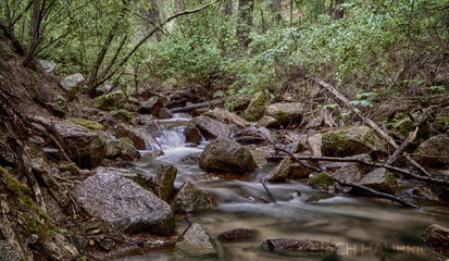 Peaceful Forest Stream (Slow Shutter) HDR