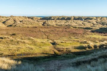 Balmedie beach dunes and grass.